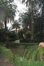 Enlarge photo 90