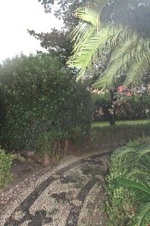 Enlarge photo 91