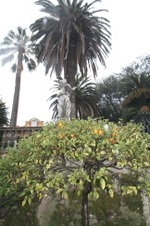 Enlarge photo 94