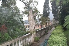 Enlarge photo 96
