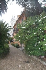 Enlarge photo 103