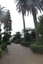 Enlarge photo 104