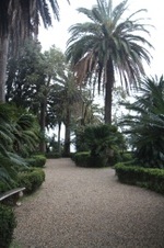 Enlarge photo 105