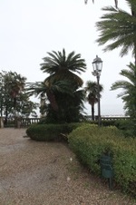 Enlarge photo 109