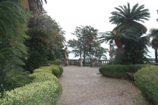 Enlarge photo 110