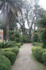 Enlarge photo 113