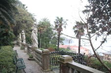 Enlarge photo 118