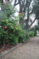 Enlarge photo 120