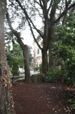Enlarge photo 121