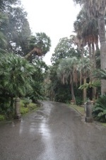 Enlarge photo 126