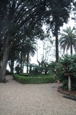 Enlarge photo 129