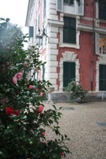 Enlarge photo 130
