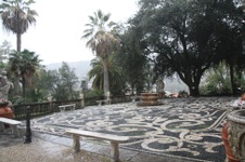 Enlarge photo 132