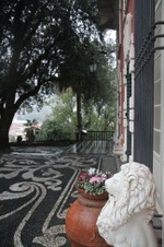Enlarge photo 138
