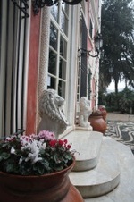Enlarge photo 139