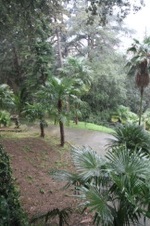 Enlarge photo 141