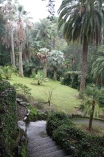 Enlarge photo 143