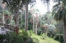 Enlarge photo 145