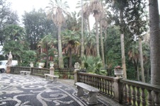 Enlarge photo 146
