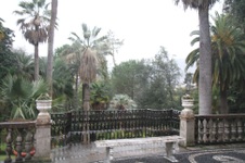 Enlarge photo 148