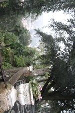 Enlarge photo 149