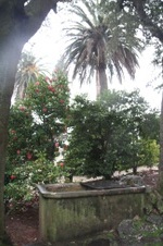 Enlarge photo 153