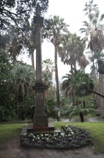Enlarge photo 154