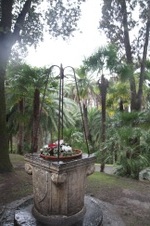 Enlarge photo 155