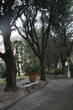 Enlarge photo 156