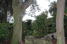 Enlarge photo 159