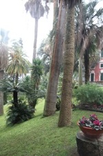 Enlarge photo 162
