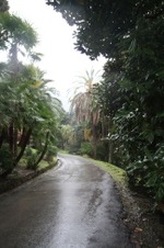Enlarge photo 163