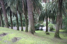 Enlarge photo 164