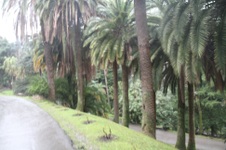 Enlarge photo 165