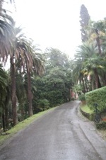 Enlarge photo 167