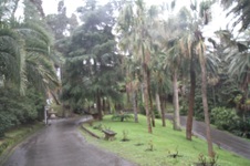 Enlarge photo 168