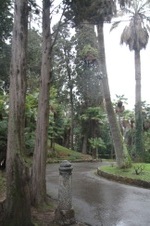 Enlarge photo 169