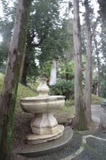 Enlarge photo 170
