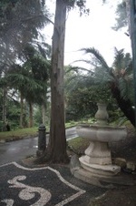 Enlarge photo 171