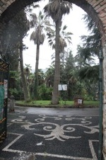Enlarge photo 172