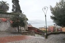 Enlarge photo 174