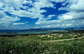 Enlarge photo 38