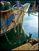 Enlarge photo 39