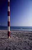 Enlarge photo 40