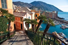 Enlarge photo 21