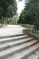 Enlarge photo 18