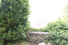 Enlarge photo 44