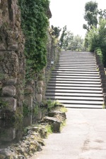 Enlarge photo 47
