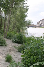 Enlarge photo 54