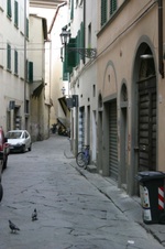 Enlarge photo 62